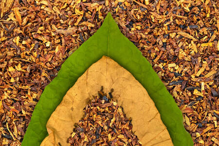 Tobacco and tobacco leaves