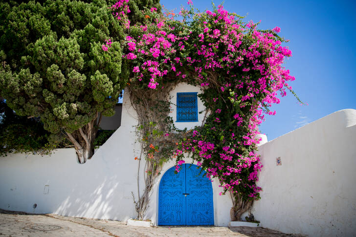 Fasada z kwiatami w Sidi Bou Said