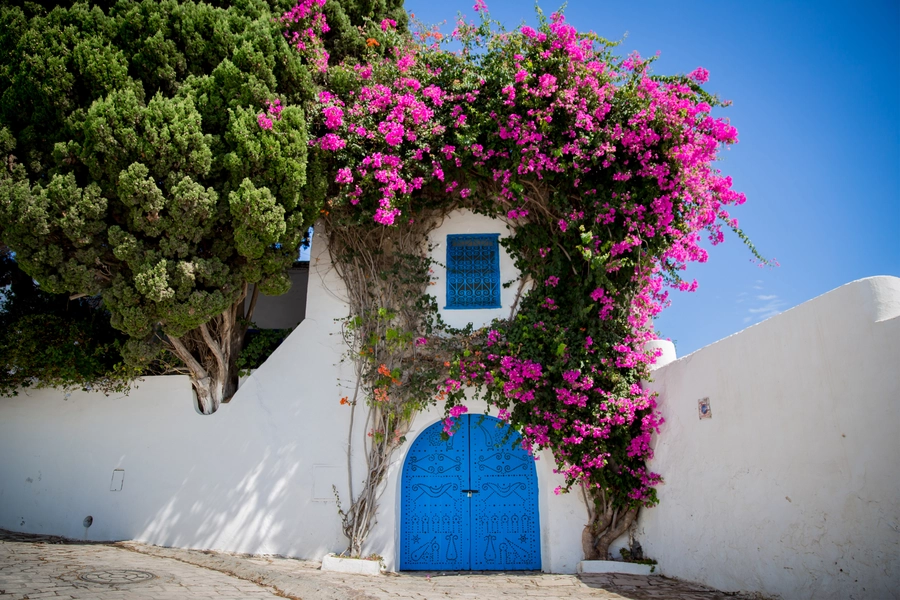 Pročelje s cvijećem u Sidi Bou Saidu