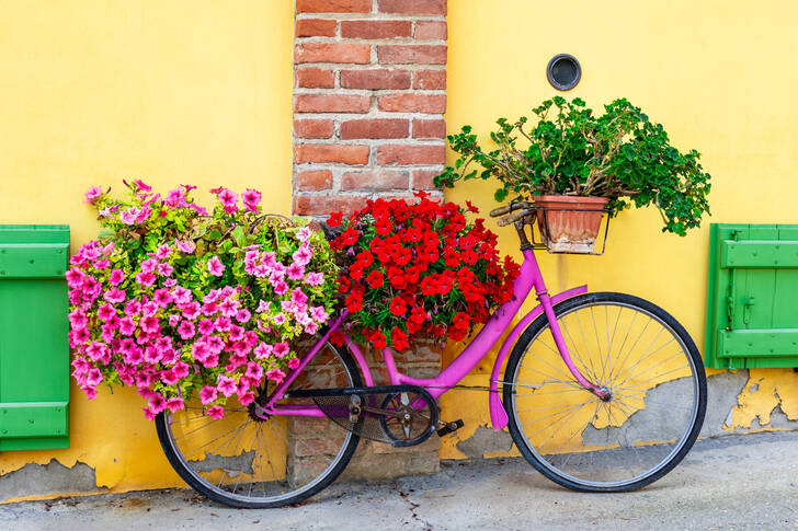 Bicicleta con flores de verano.