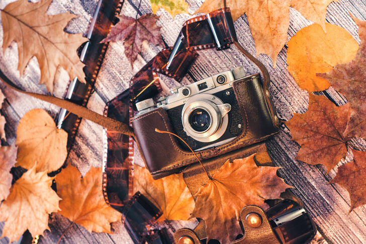 Appareil photo sur des feuilles d'automne