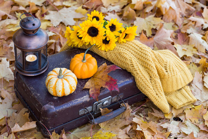 Pumpkins on a suitcase