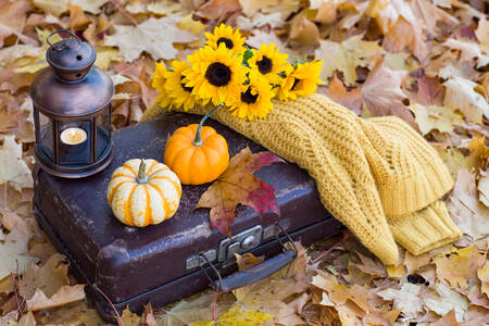 Citrouilles sur une valise