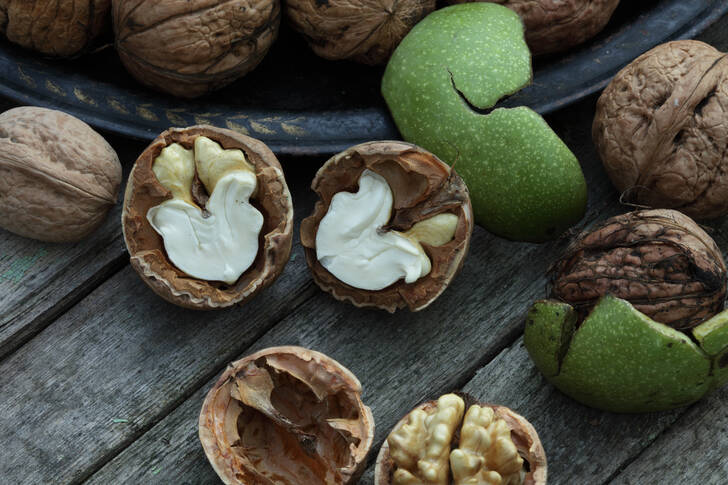 Walnuts on the table