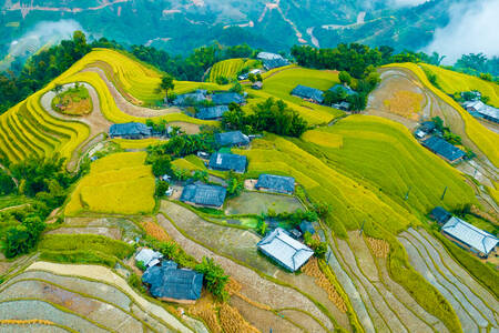 Sawah terasering di pegunungan