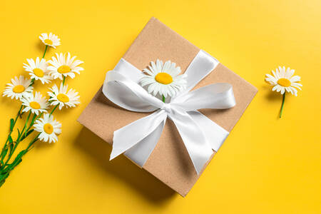 Kotak hadiah dan bunga aster