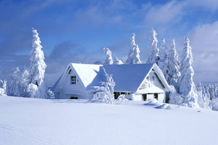 Casa coberta de neve