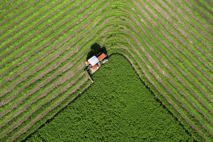 Top view of a field and a tractor