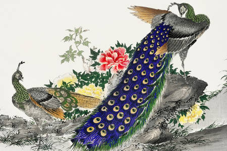 Numata Kashū: "Påfågel och pion"