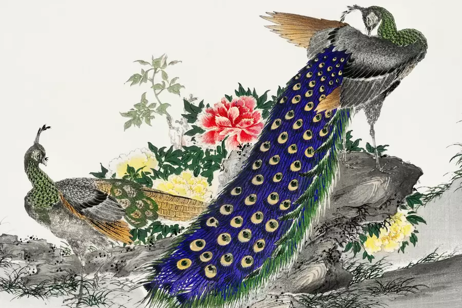 Numata Kashū: "Peacock και Peony"