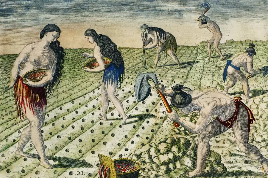 Theodore de Brie: "Grondbewerking"