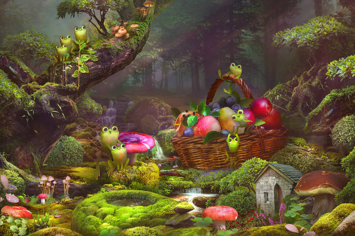 Frogs in a forest glade