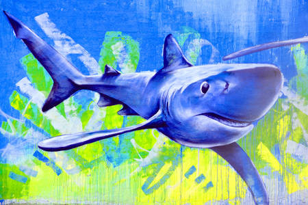 Grafite de tubarão