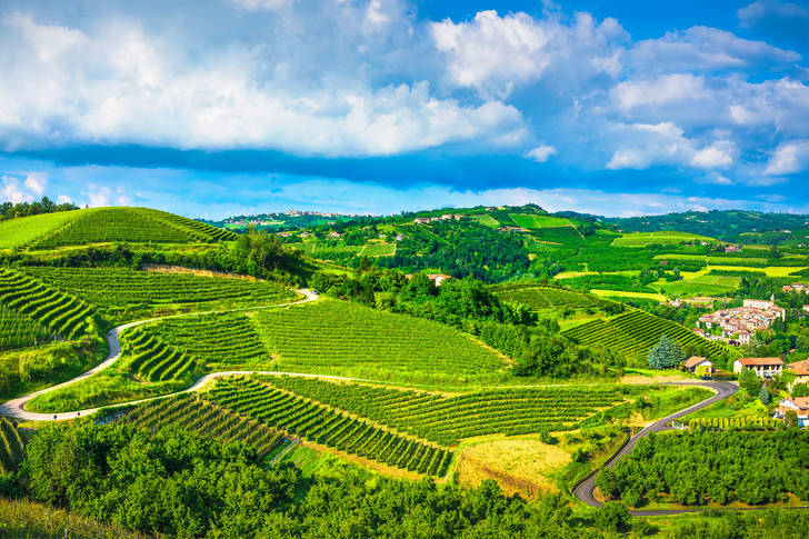 Vineyards of the Langhe region