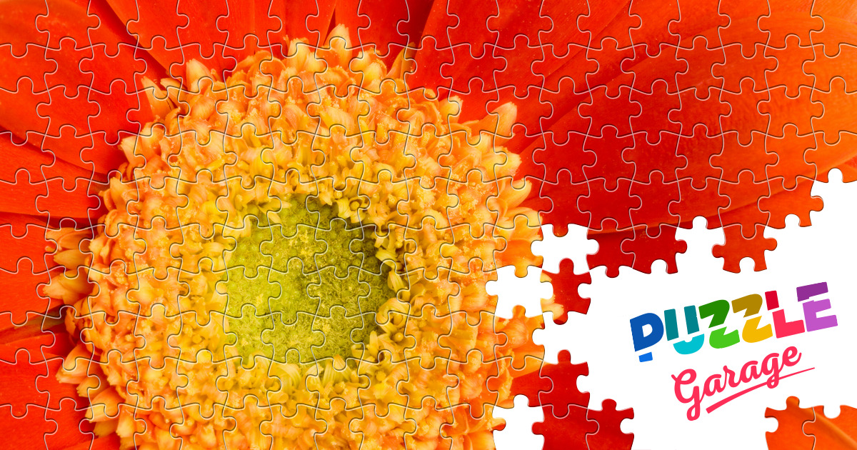 Red daisy Jigsaw Puzzle (Plants, Flowers) Puzzle Garage
