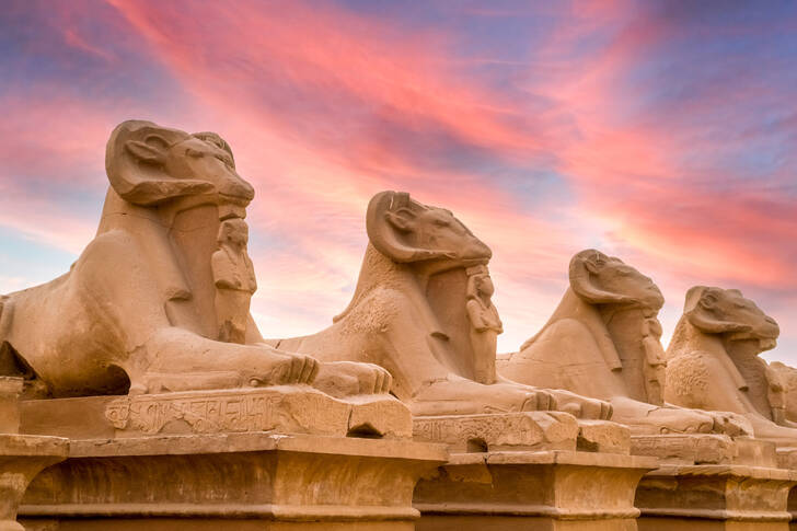 Avenue of the Sphinxes of Luxor