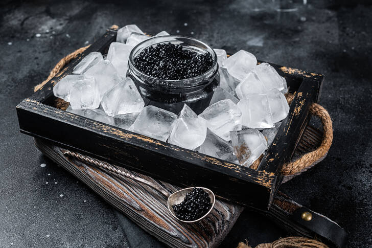 Zwarte kaviaar met ijs