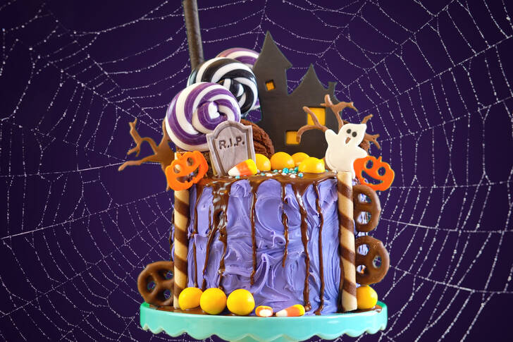Kuchen auf dem Hintergrund des Spinnennetzes