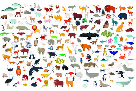 Gran colección de animales