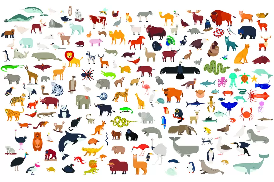 Collection de grands animaux