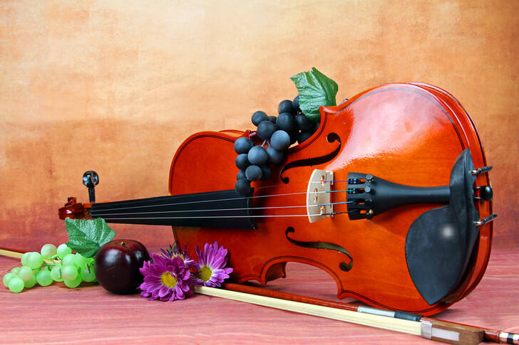 Скрипка, виноград и цветы