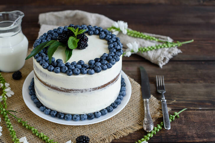 Kuchen mit Blaubeeren