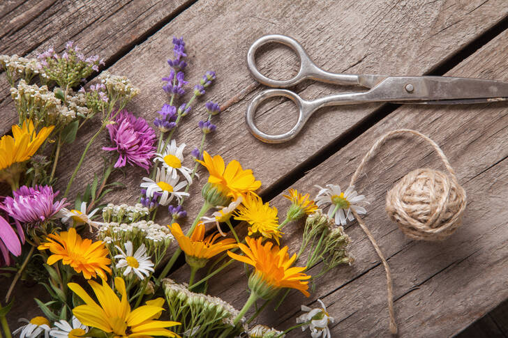 Summer flowers on the table