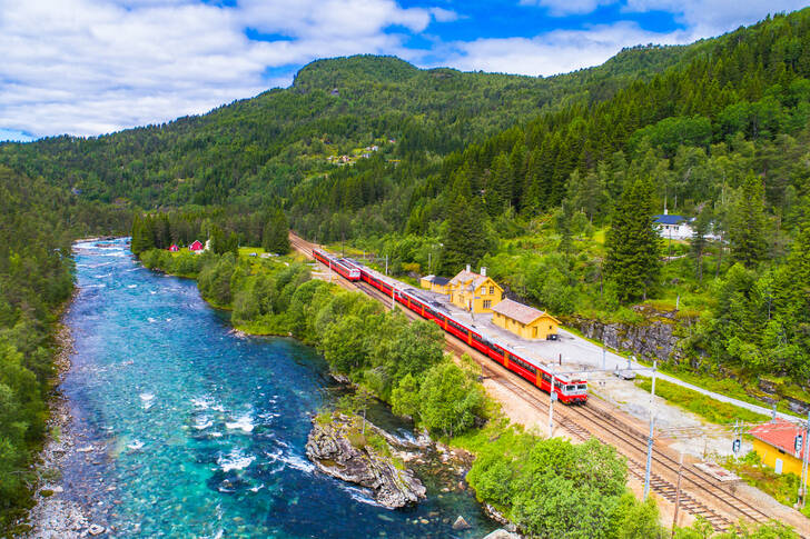 De Oslo-Bergen trein in de bergen