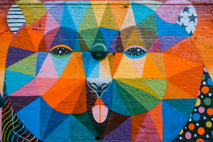 Grafiti ayı