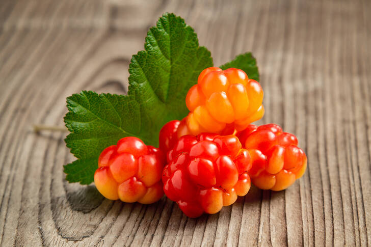 Cloudberries