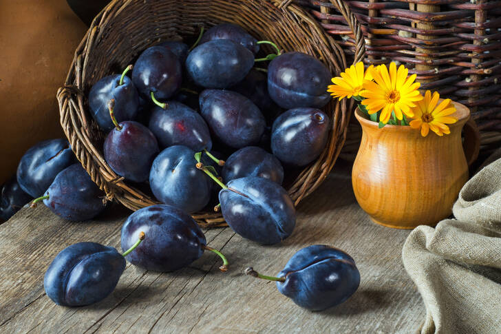 Prunes dans un panier