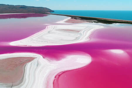 Pink sø i Bolivia