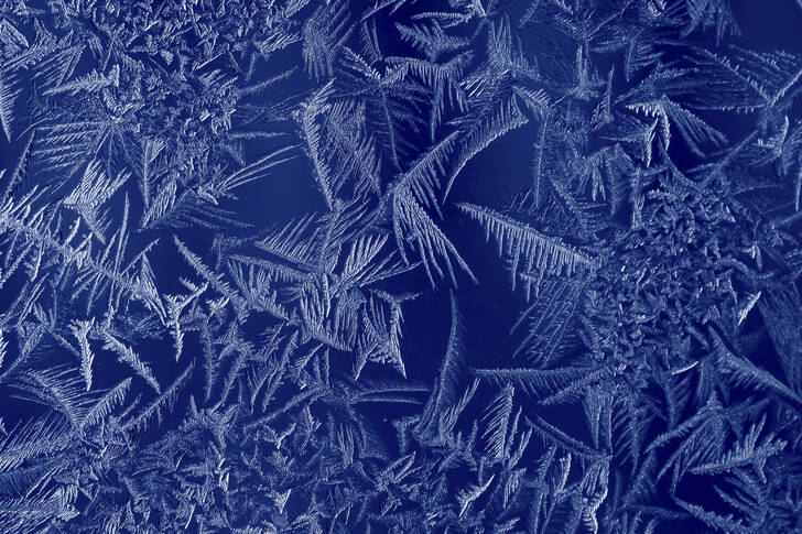 Frost pattern on the window