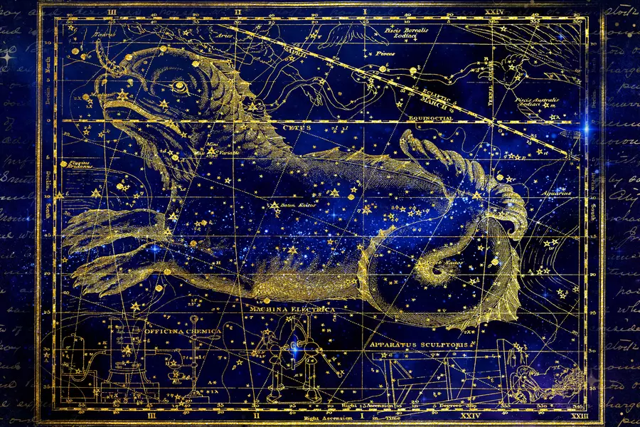 Sterrenbeeld Cetus