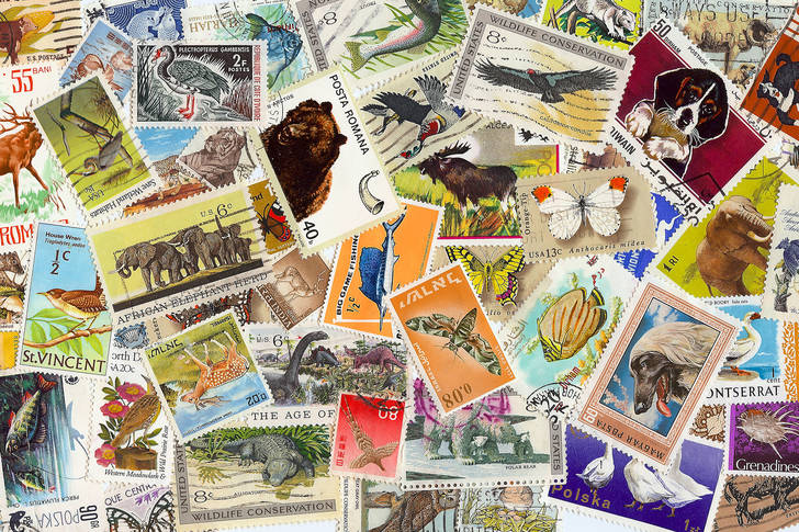 Collection of stamps with animals