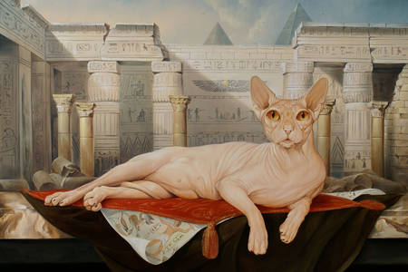 Gato Sphynx en un templo egipcio