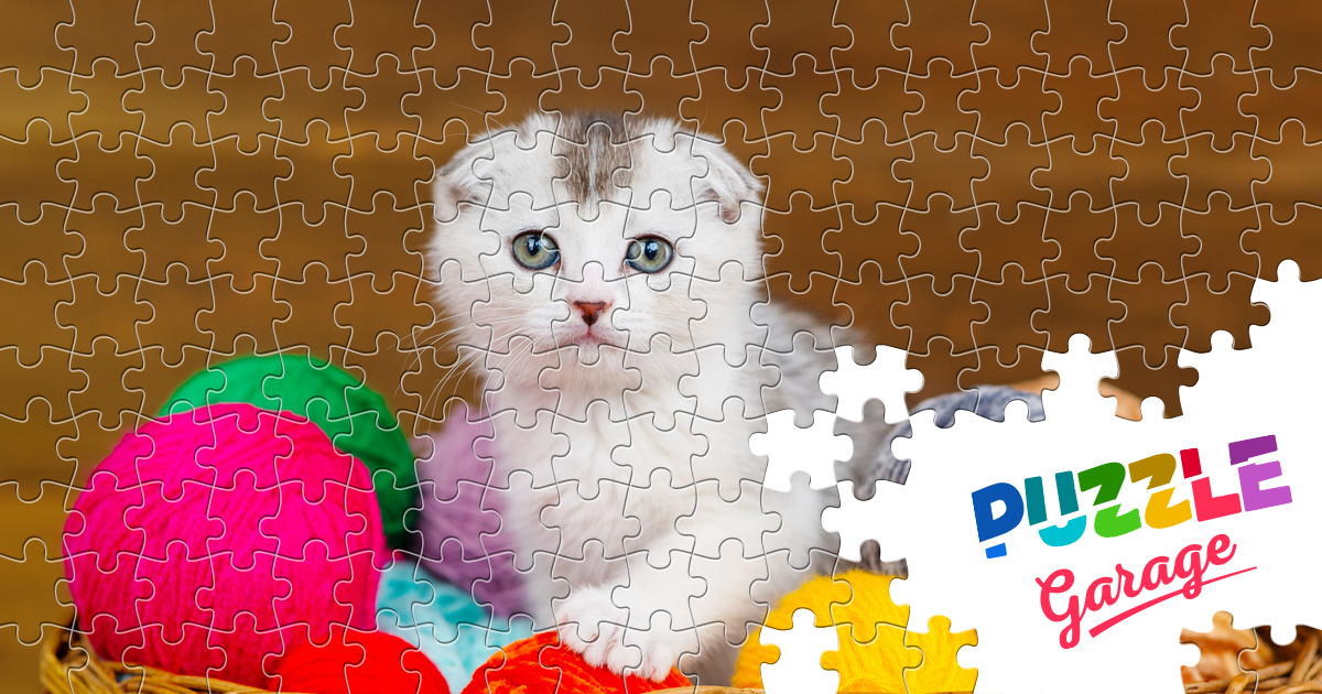 Kitten among colored balls Jigsaw Puzzle (Animals, Pets) | Puzzle Garage