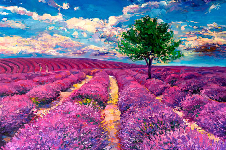 Tree on lavender field