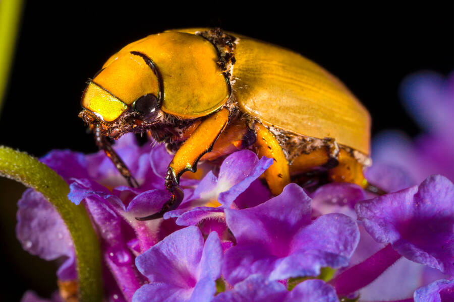 Puzzle Online Spielen Kostenlos Puzzle Garage