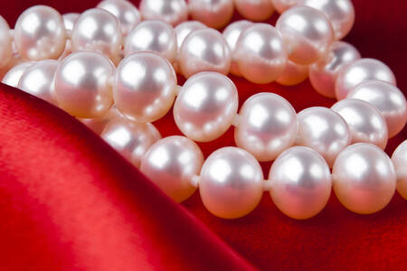 Pearl necklace close up