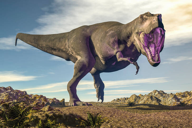 Tiranosaurio en el desierto
