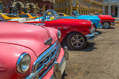 Multicolored vintage cars