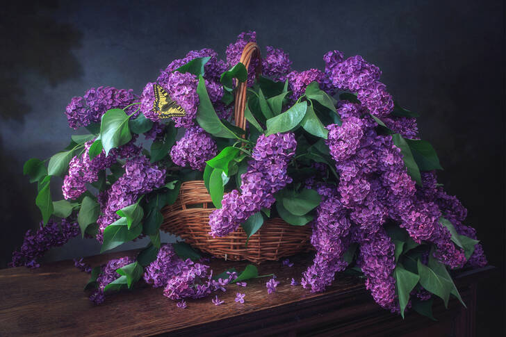 Lilac in a basket