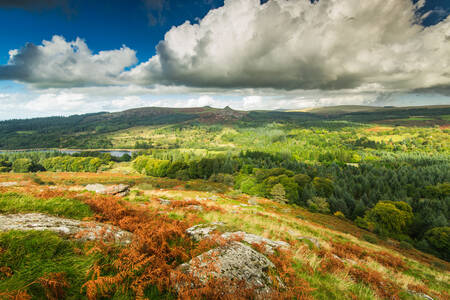 Nacionalni park Dartmoor