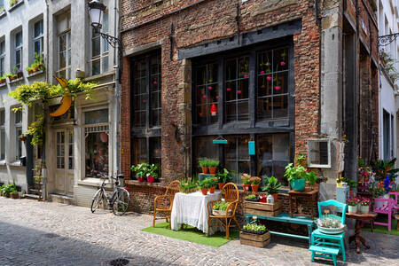 Old street in Antwerp city