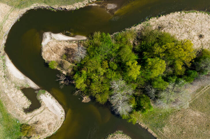 The Nida River in Poland