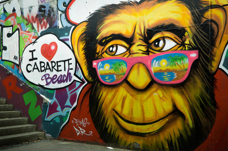 Monkey in pink glasses