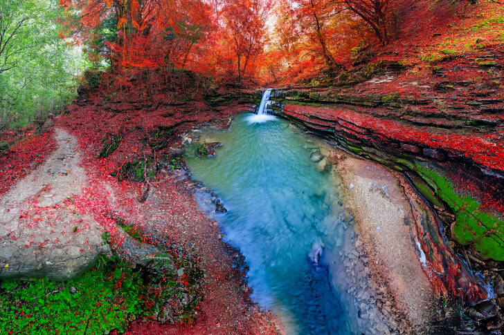 Cascade forestière