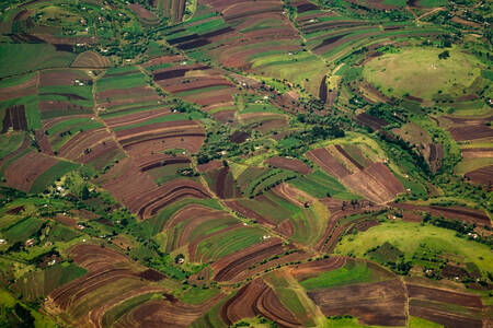 Sawah di Tanzania