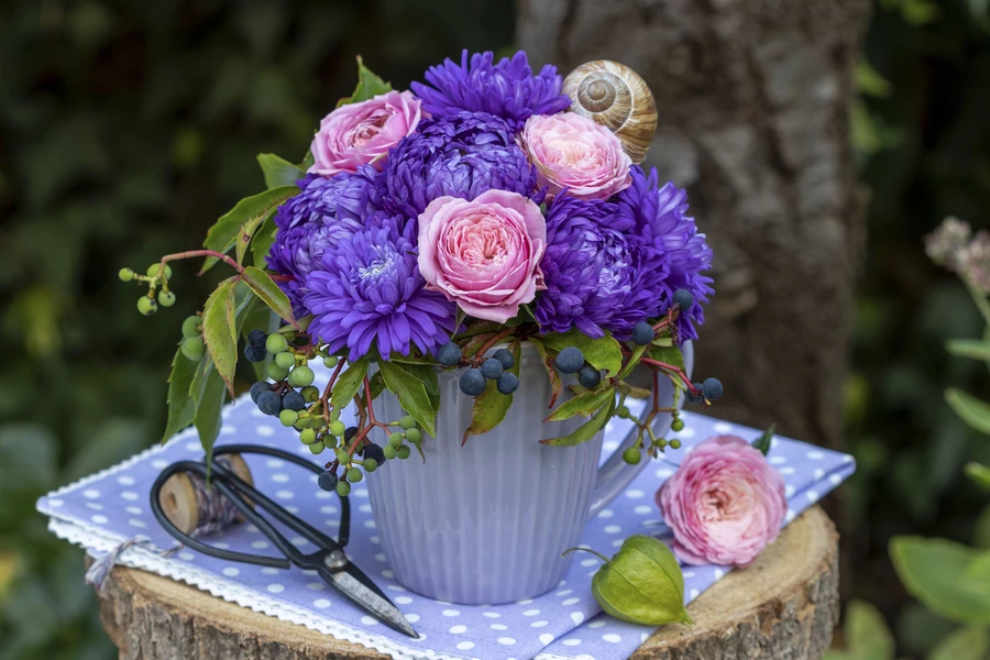 Composición de ásteres y rosas